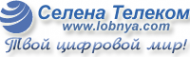 Логотип компании Селена Телеком